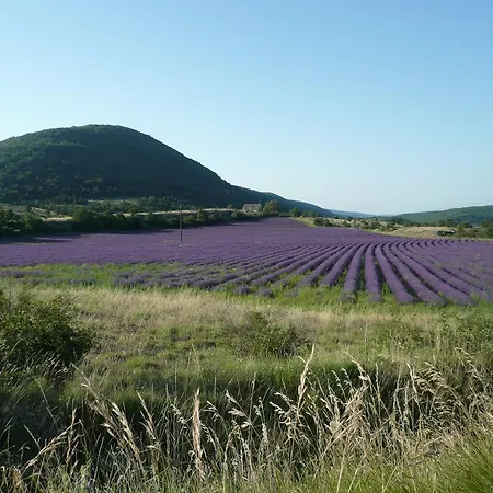 Дом отдыха La Grange De La Lavande *