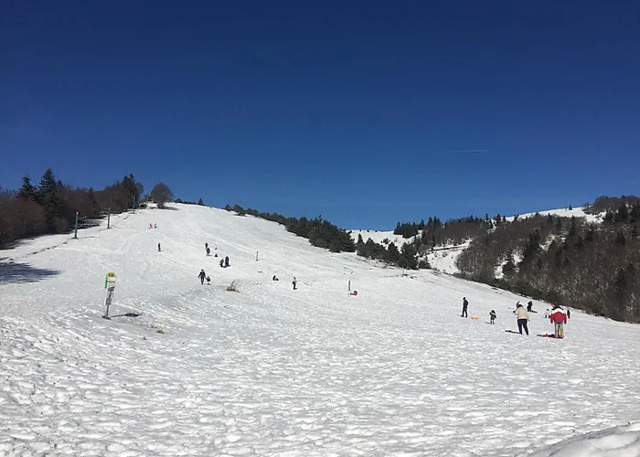 La Grange De La Lavande *