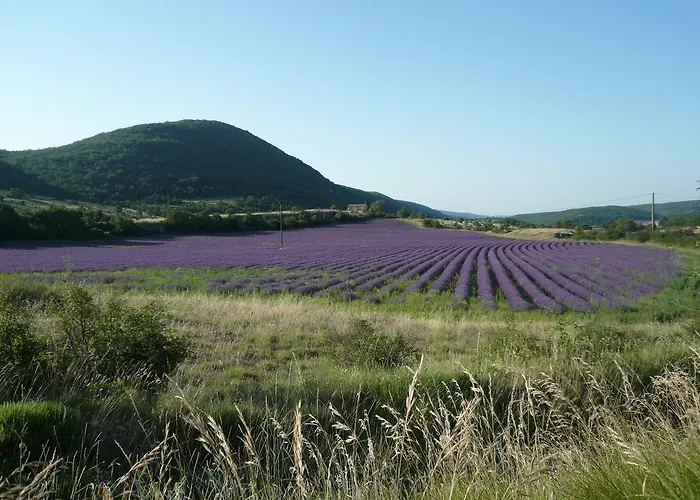 בית נופש La Grange De La Lavande *