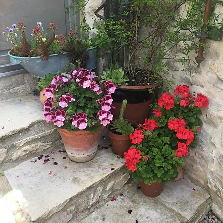 La Grange De La Lavande